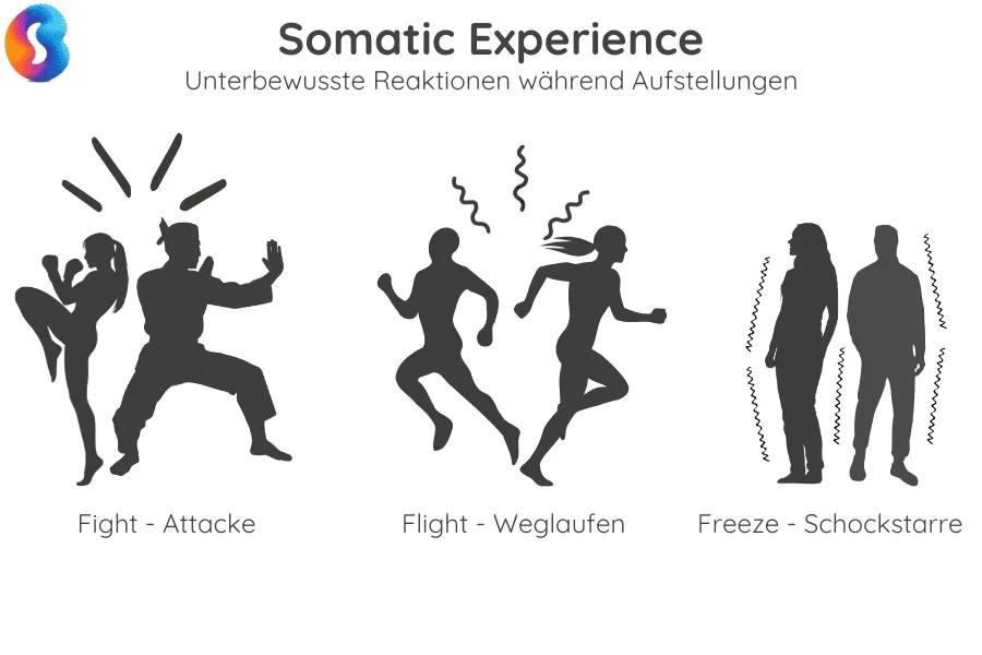 somatic-experiencing-reaktionsmuster Somatic Experience: Fight, Flight, Freeze